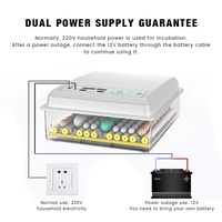 YES4PETS Automatic Digital LED 220 Egg Incubator Humidifier Egg Hatching Temperature Control