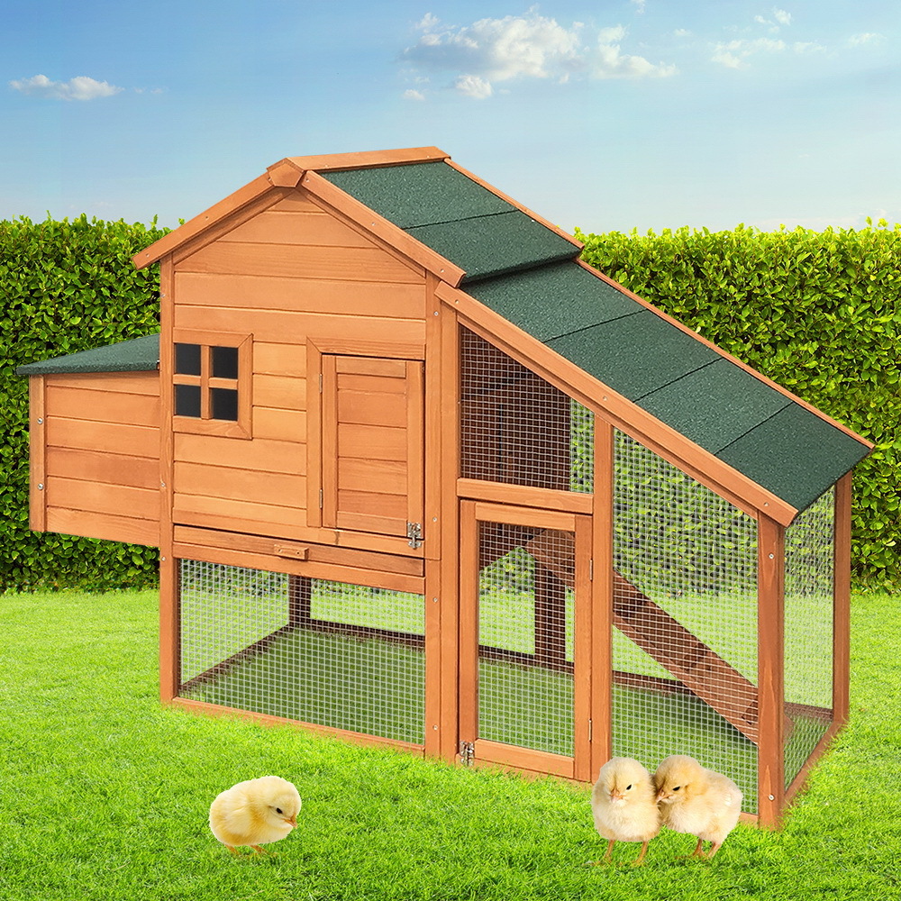171cm Wide Wooden Chicken Coop - PET GT WOOD 2020 AB