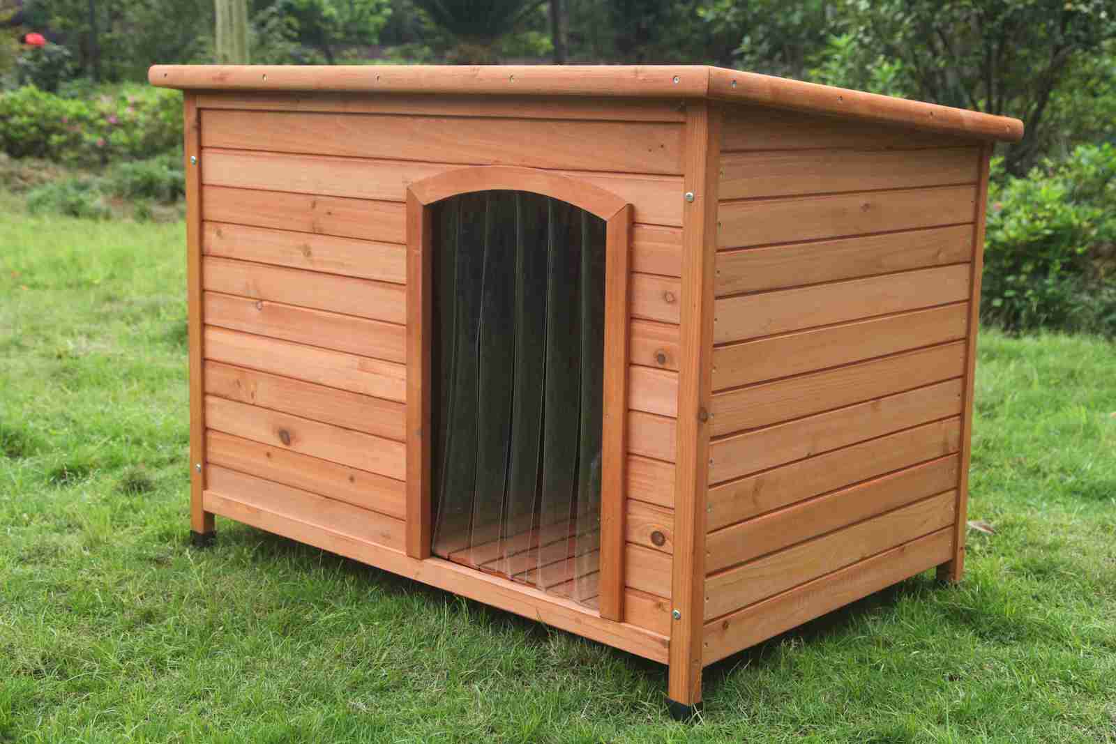 dog house of wood