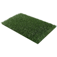 YES4PETS 2 x Grass replacement only for Dog Potty Pad 58 x 39 cm