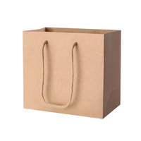 100pcs Kraft Paper Carry Bags Shopping Gift Bag Bulk Brown 220 x 180 x 100mm