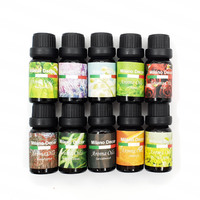 10 Pack Aroma Diffuser Oils Aromatherapy Fragrance 10ml Gift Pack 10 Pack Maroon