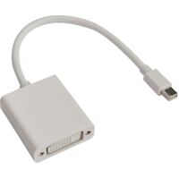 ASTROTEK Mini DisplayPort DP to DVI Cable 20cm - 20 pins Male to 24+5 pins Female Nickle RoHS