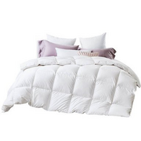 80% Goose Down 20% Goose Feather Quilt - King