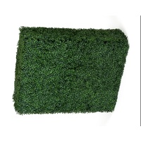 Portable Boxwood Hedge UV Stabilised 75cm High 100cm Long