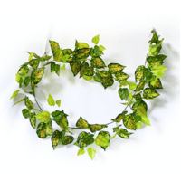 Mixed Yellow and Red Pothos Garland 190cm