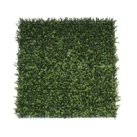 Premium Natural Buxus Hedge Panels UV Resistant 1m x 1m