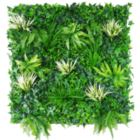 White Grassy Greenery Vertical Garden / Green Wall UV Resistant 100cm x 100cm
