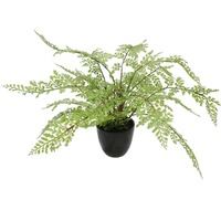 Faux Small Potted Fern 35cm