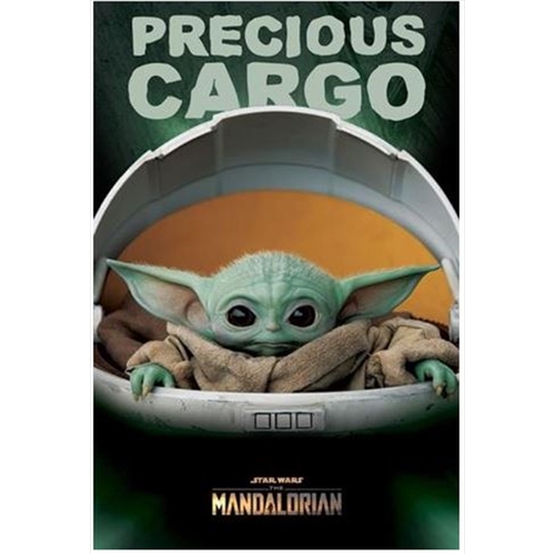 Star Wars: The Mandalorian - Precious Cargo