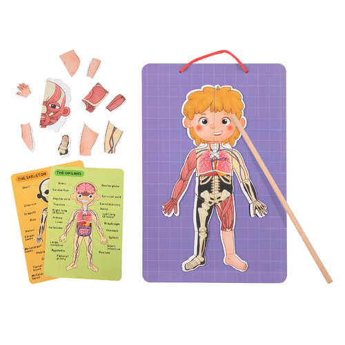 MAGNETIC BODY CHART