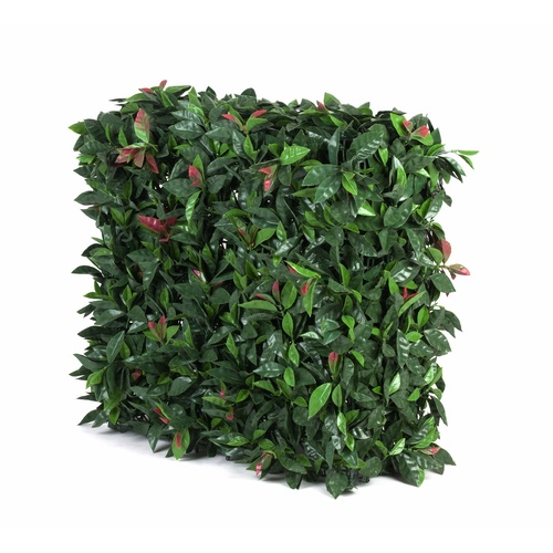 Portable UV Artificial Hedge Plant Photinia 75cm X 75cm