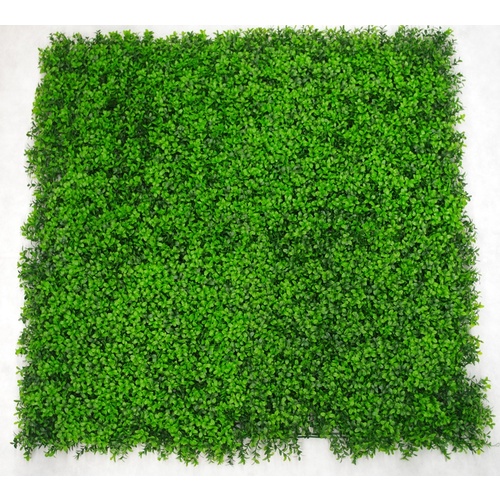 Deluxe Buxus Panels UV Stabilised 1m X 1m