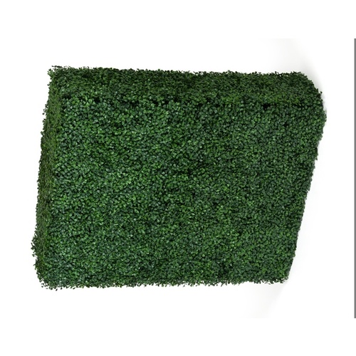 Portable Boxwood Hedge UV Stabilised 75cm High 100cm Long