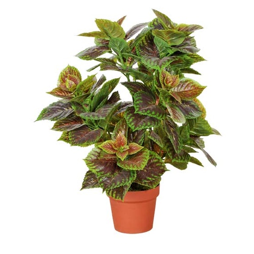 Artificial Purple Perilla 70cm