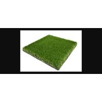 Artificial Grass